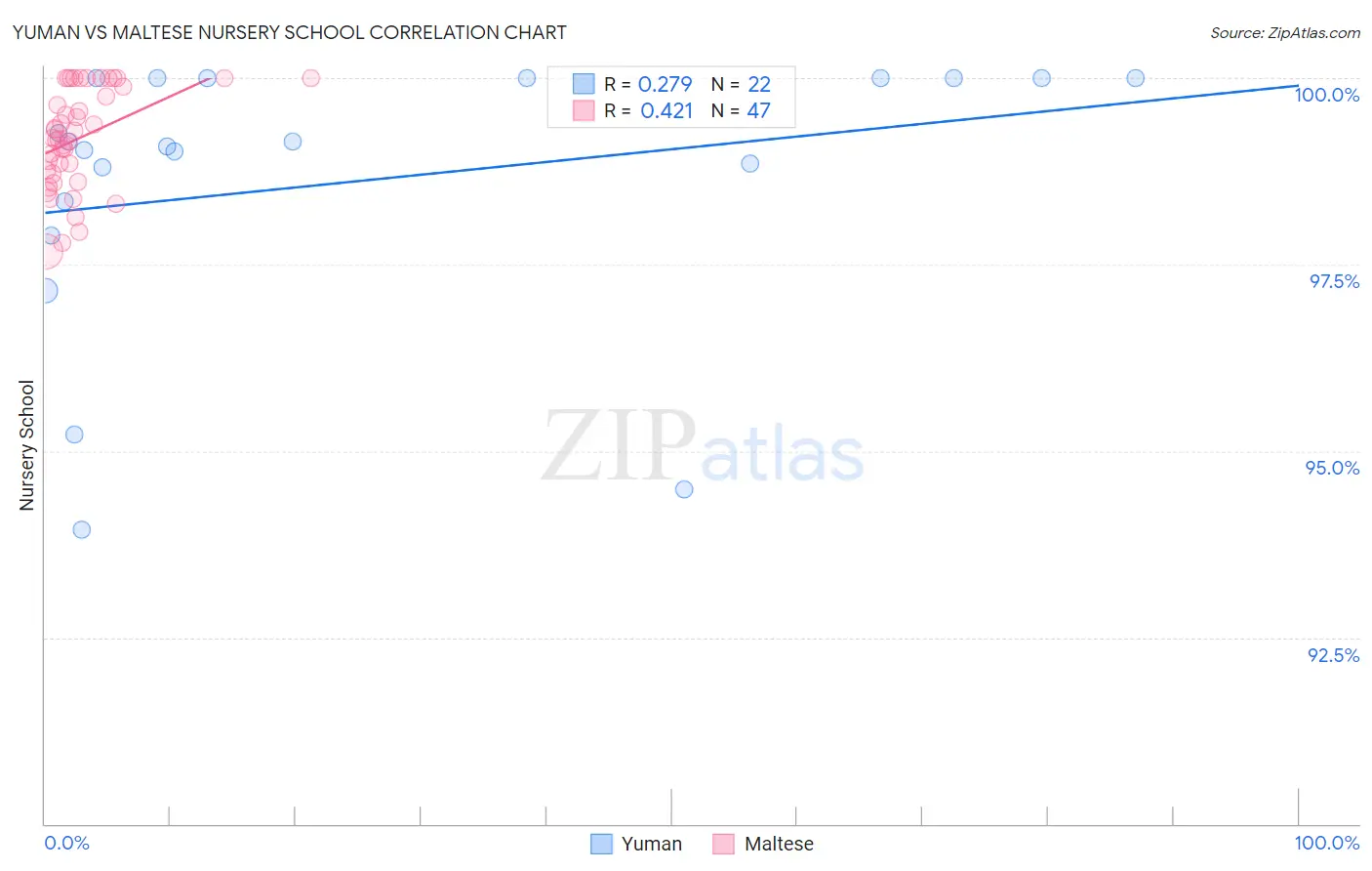 Yuman vs Maltese Nursery School