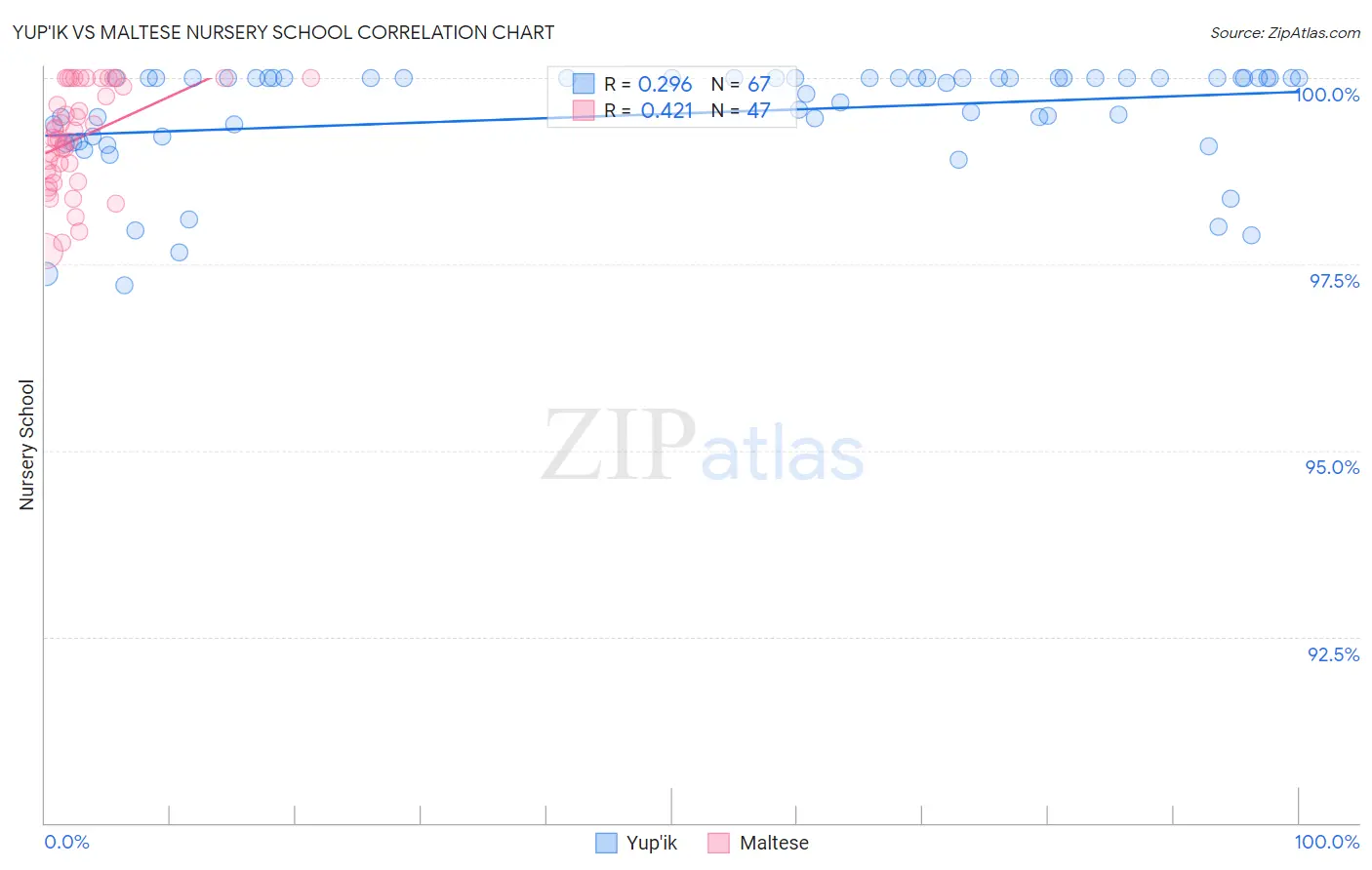 Yup'ik vs Maltese Nursery School