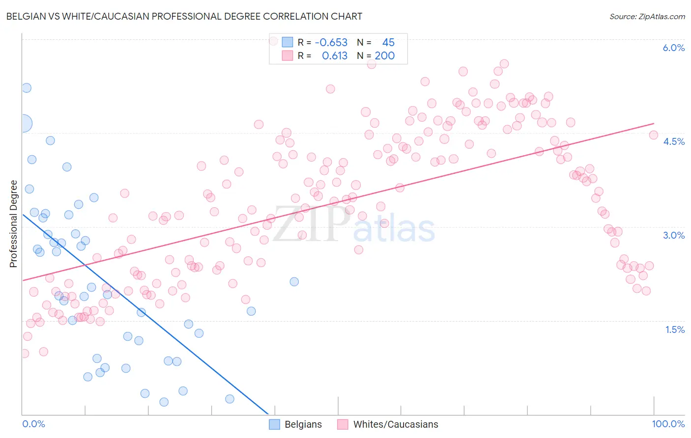 Belgian vs White/Caucasian Professional Degree