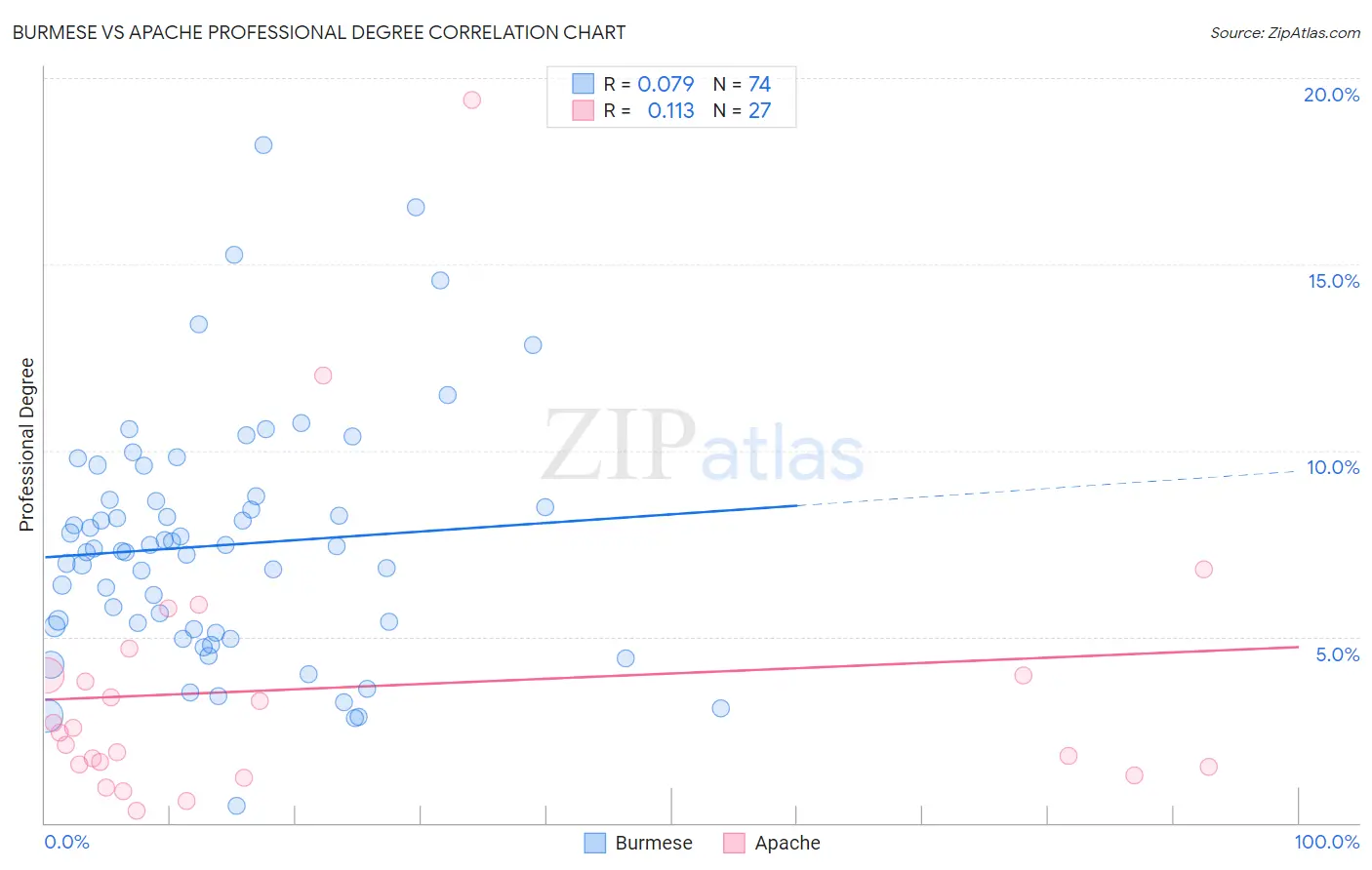 Burmese vs Apache Professional Degree