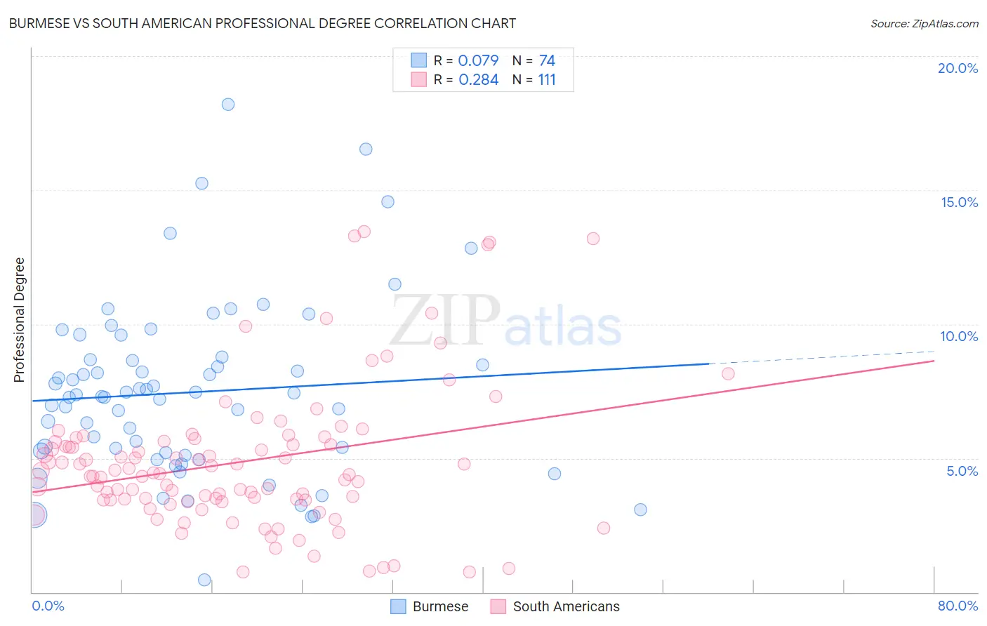 Burmese vs South American Professional Degree