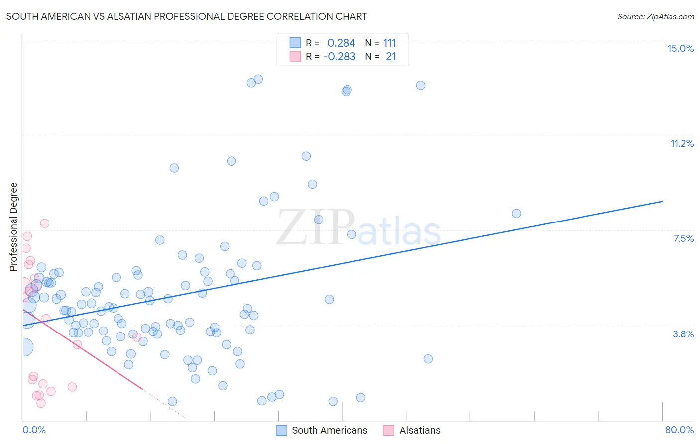 South American vs Alsatian Professional Degree