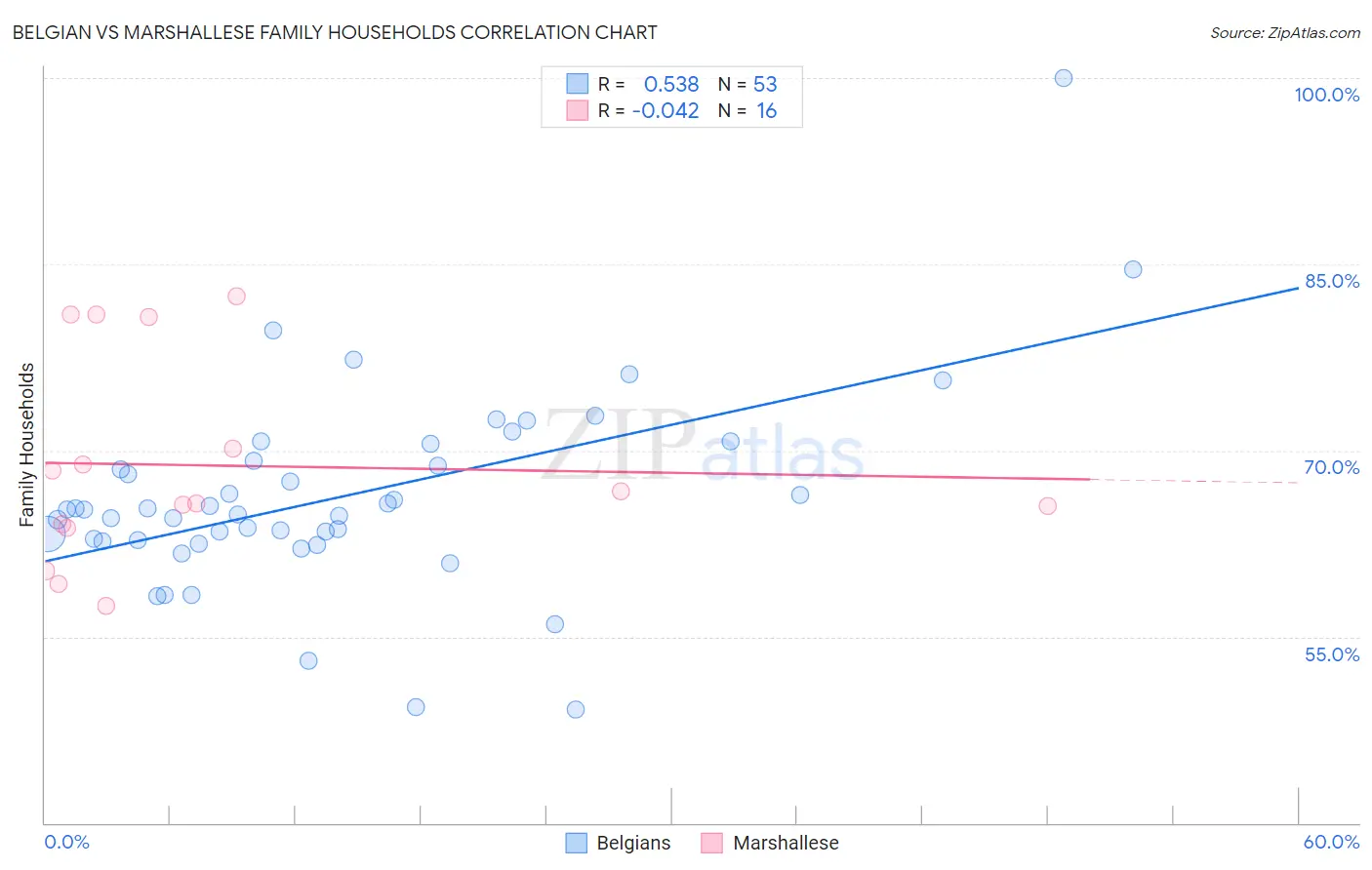 Belgian vs Marshallese Family Households