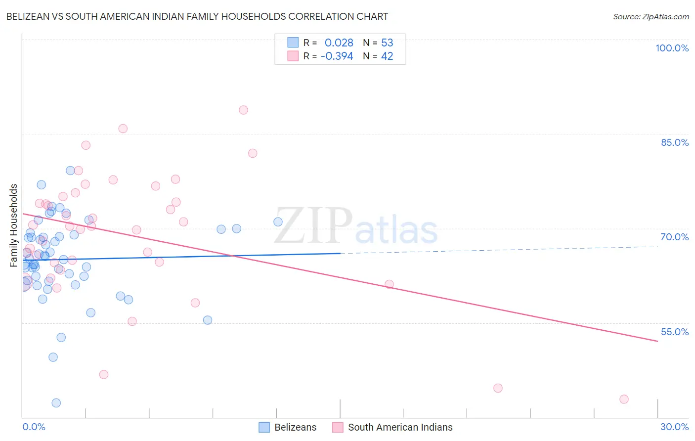 Belizean vs South American Indian Family Households