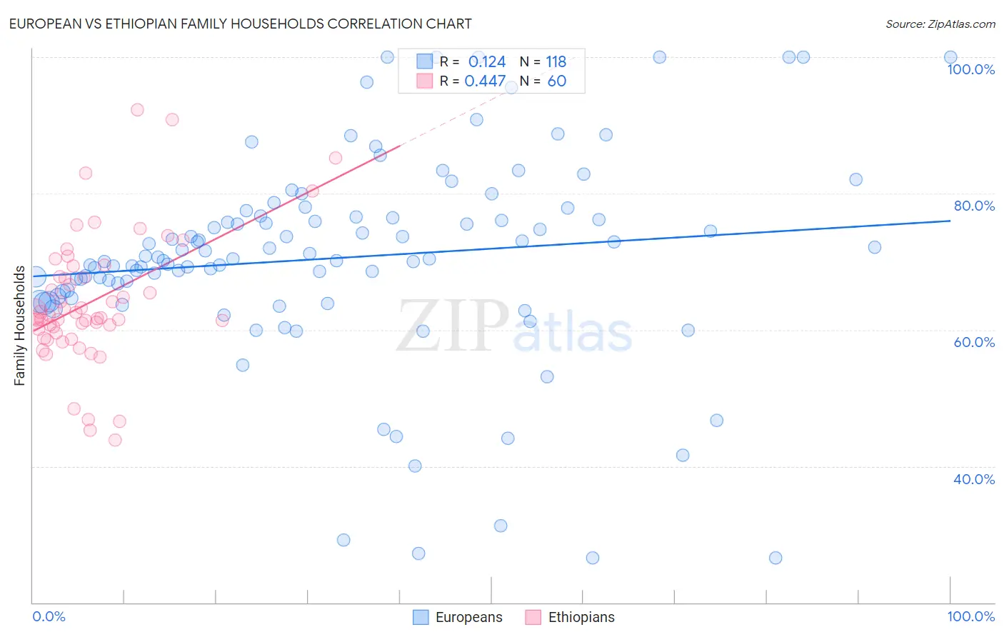 European vs Ethiopian Family Households