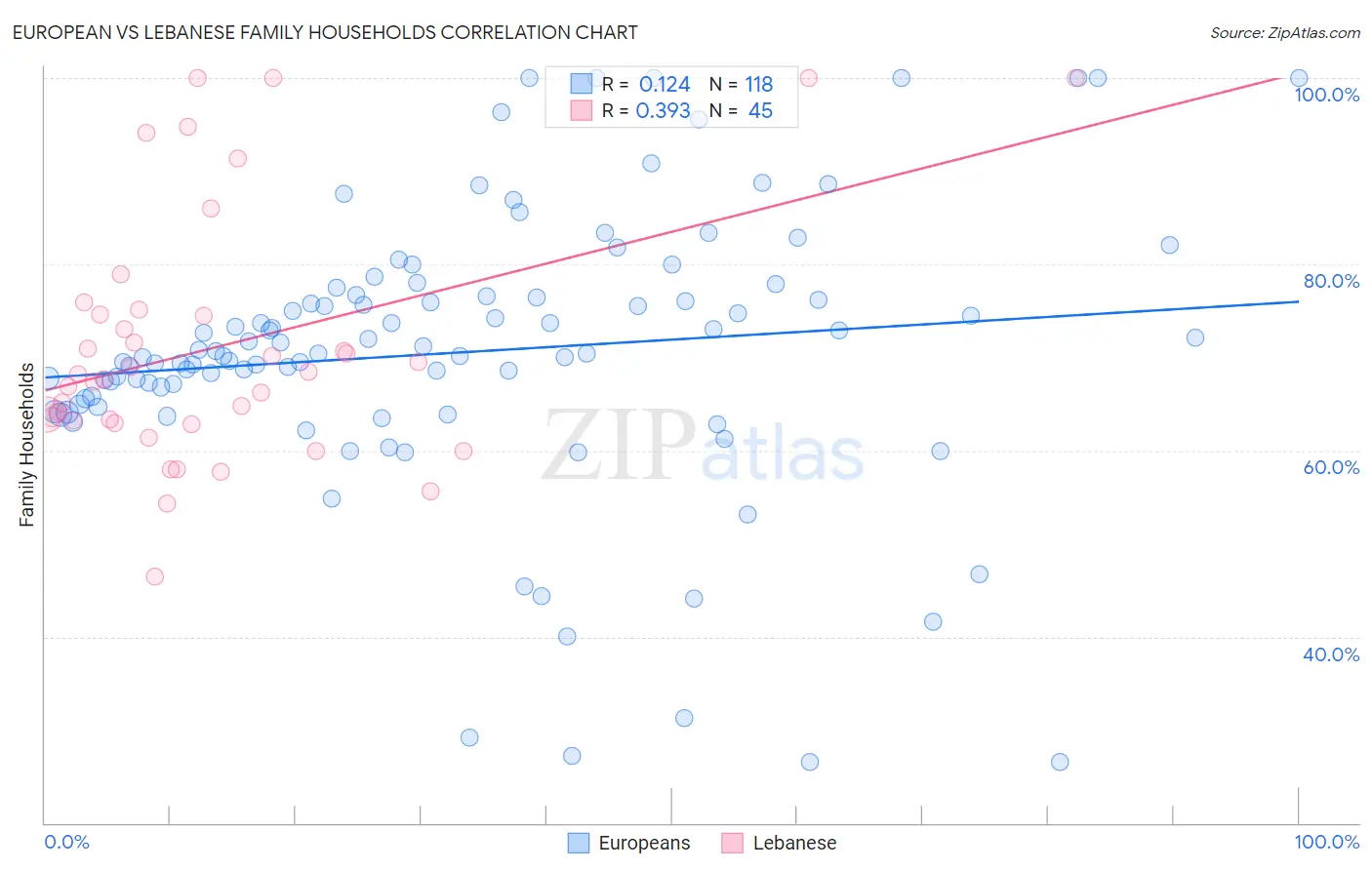 European vs Lebanese Family Households
