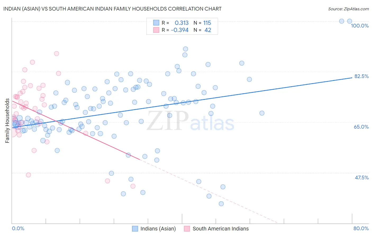 Indian (Asian) vs South American Indian Family Households