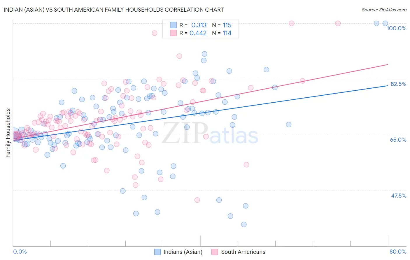Indian (Asian) vs South American Family Households