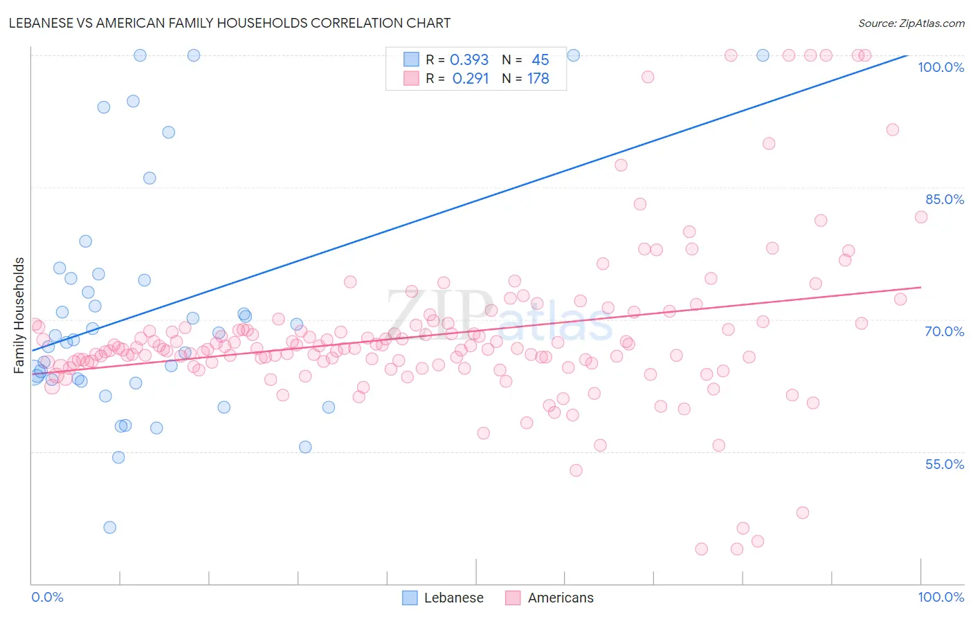 Lebanese vs American Family Households