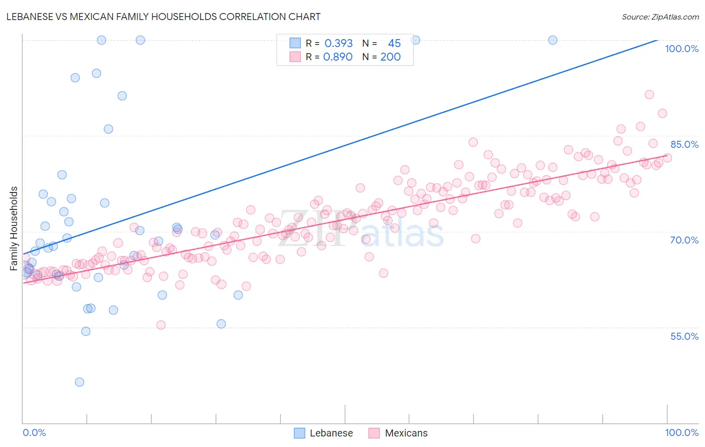 Lebanese vs Mexican Family Households