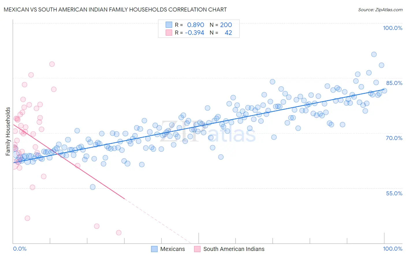 Mexican vs South American Indian Family Households
