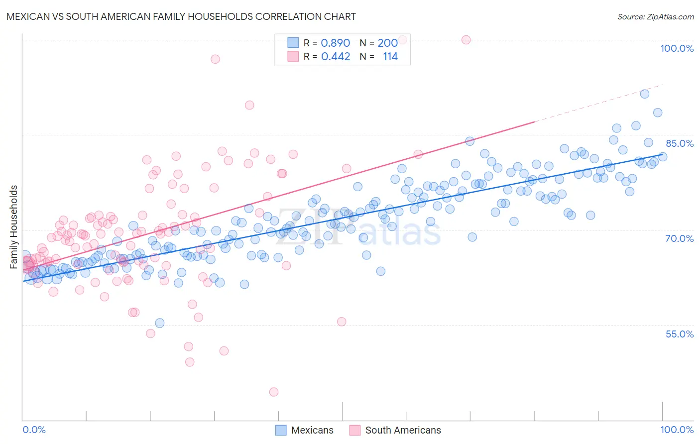 Mexican vs South American Family Households