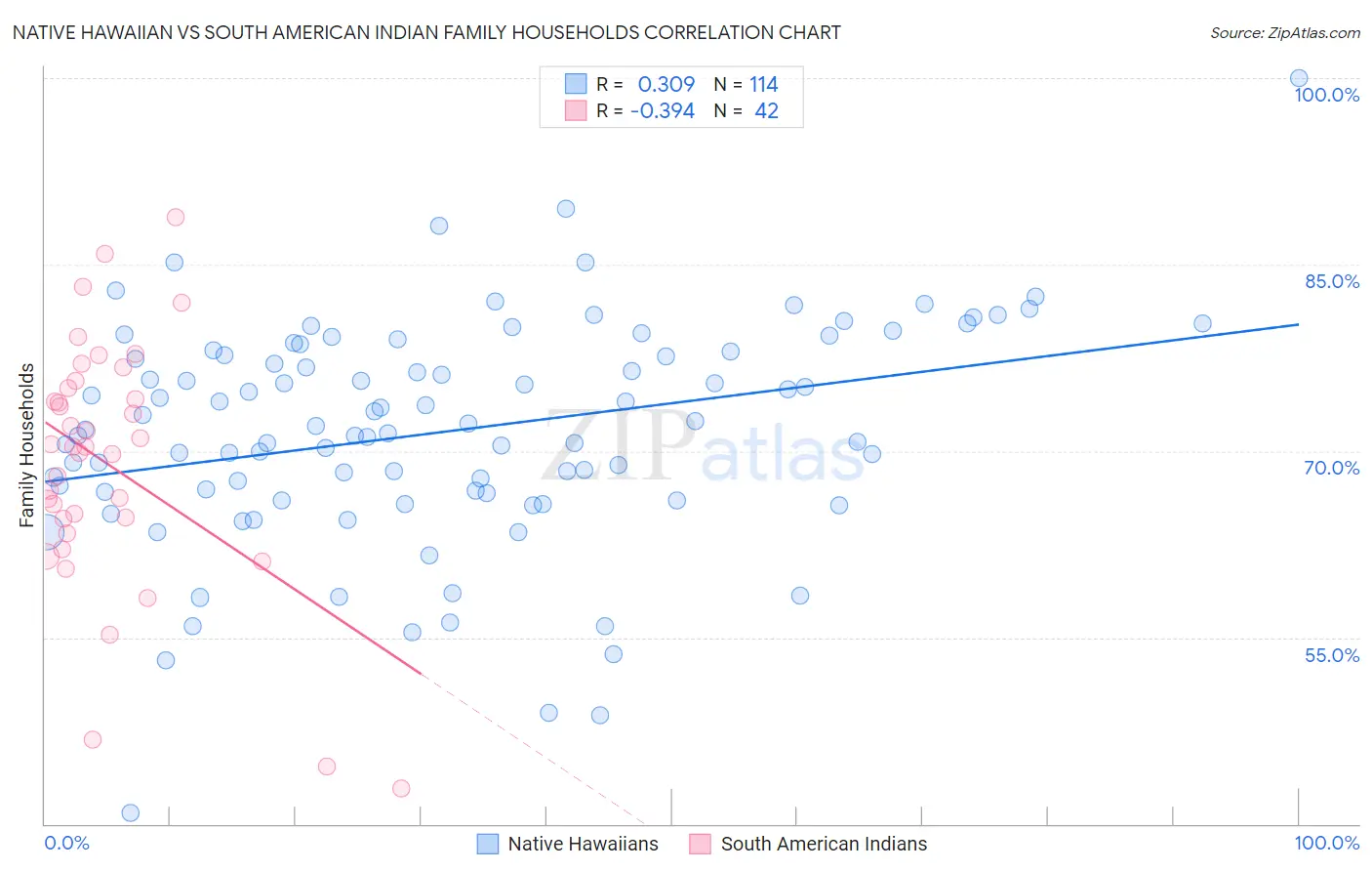 Native Hawaiian vs South American Indian Family Households