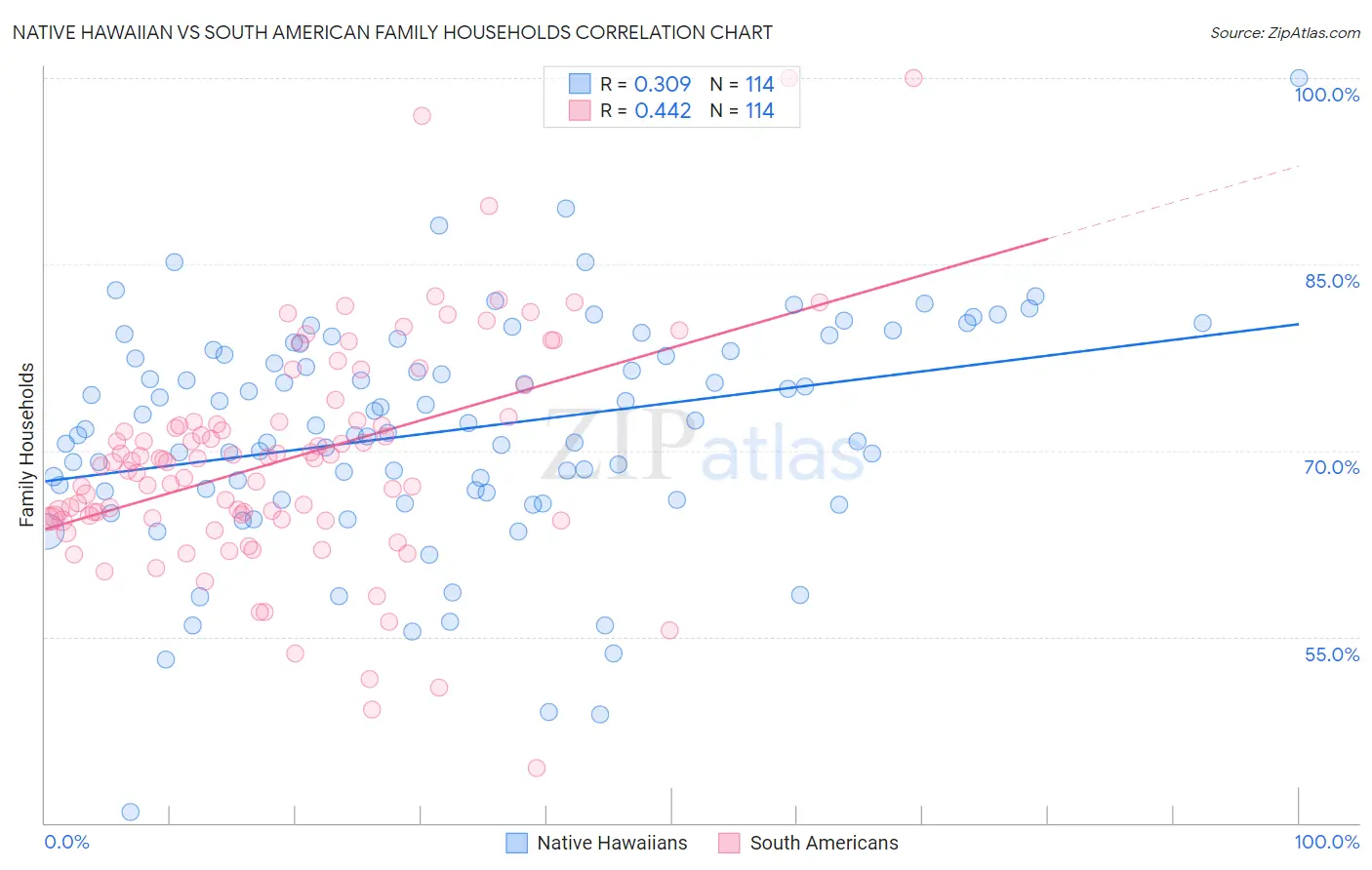 Native Hawaiian vs South American Family Households