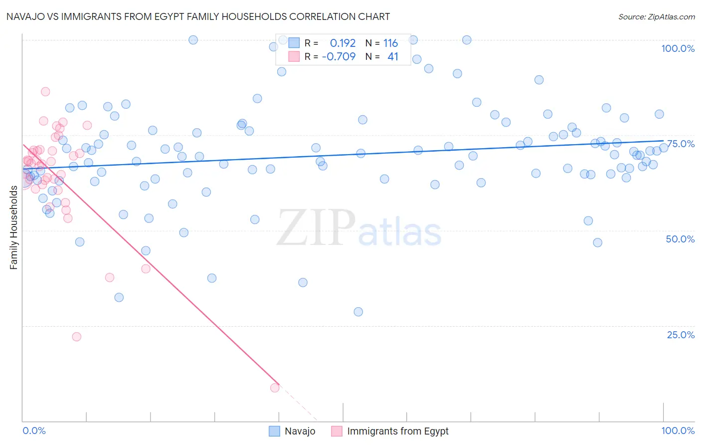 Navajo vs Immigrants from Egypt Family Households