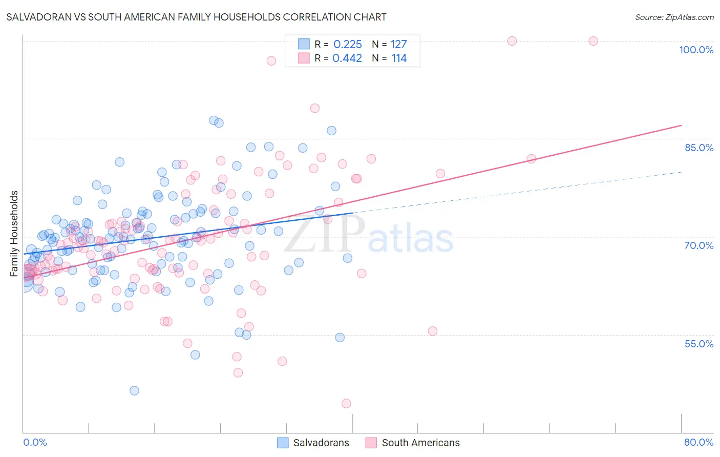 Salvadoran vs South American Family Households