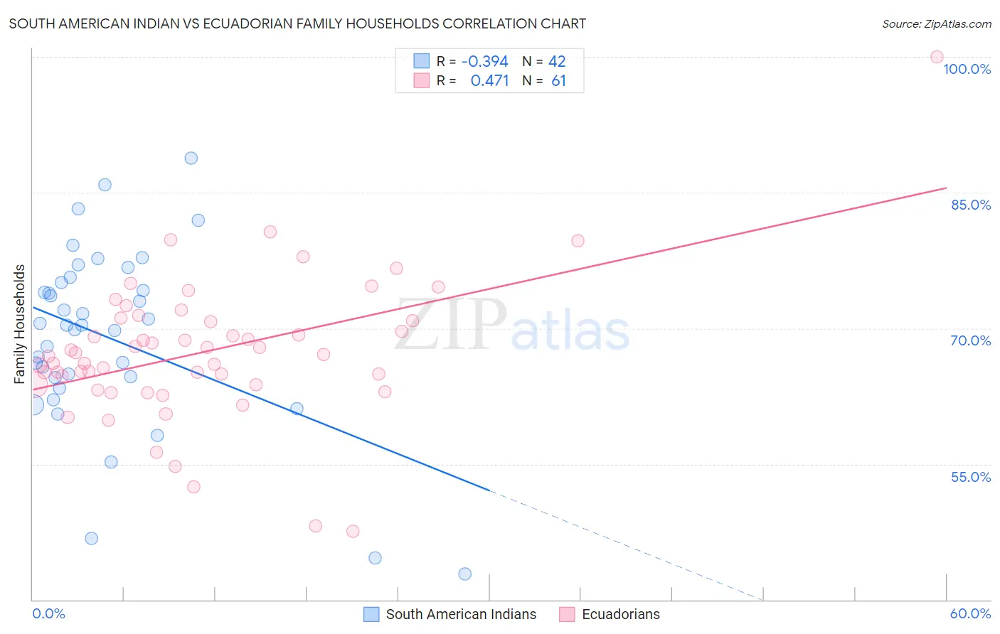 South American Indian vs Ecuadorian Family Households