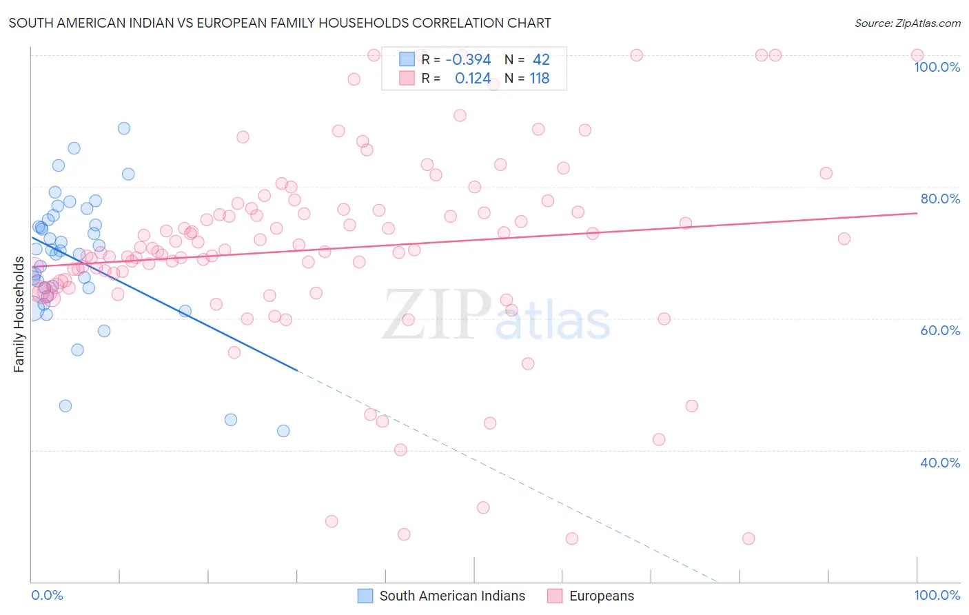 South American Indian vs European Family Households