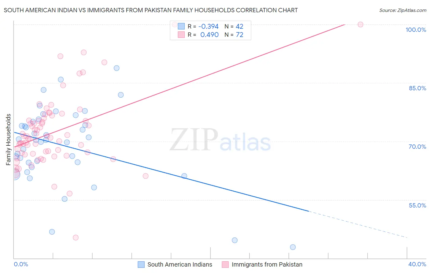 South American Indian vs Immigrants from Pakistan Family Households
