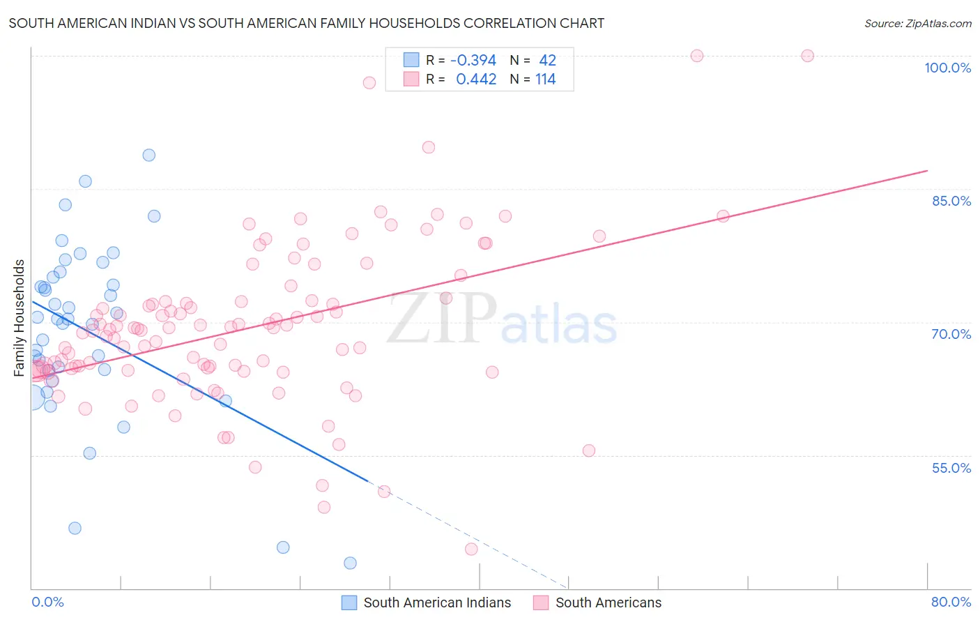 South American Indian vs South American Family Households