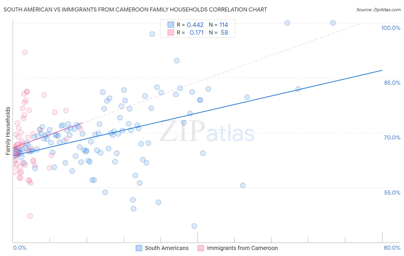 South American vs Immigrants from Cameroon Family Households