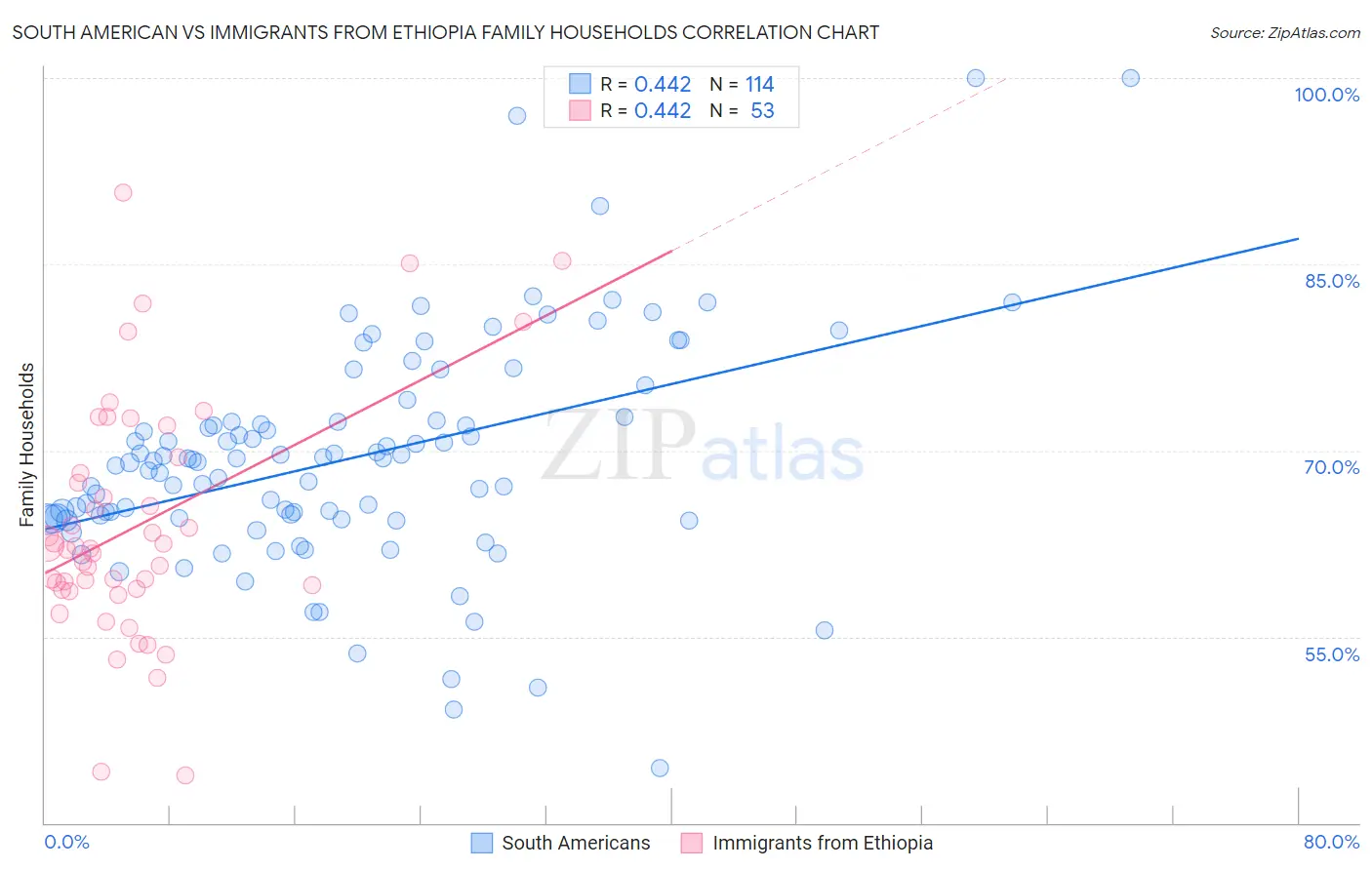 South American vs Immigrants from Ethiopia Family Households