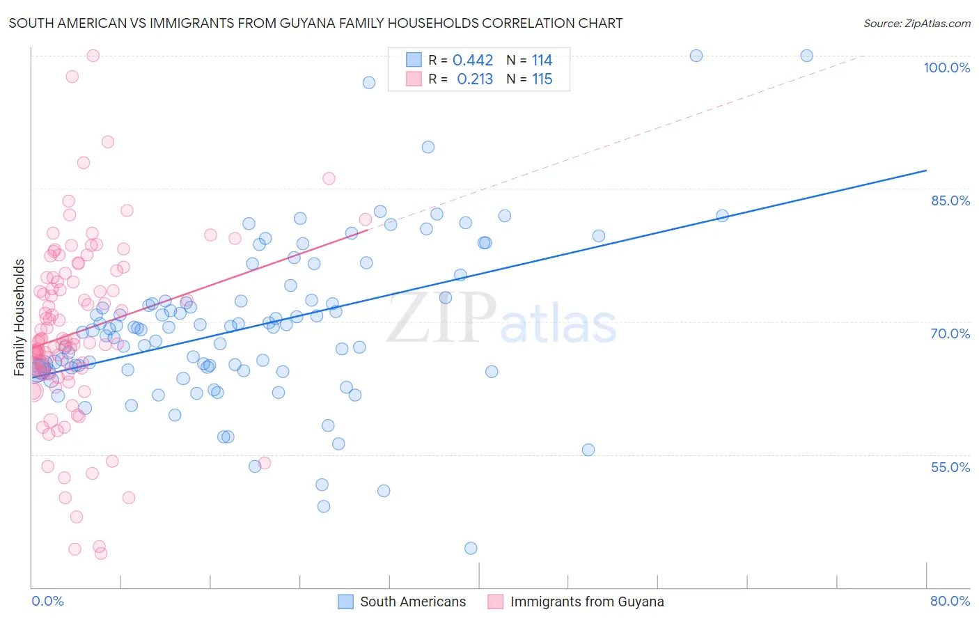 South American vs Immigrants from Guyana Family Households