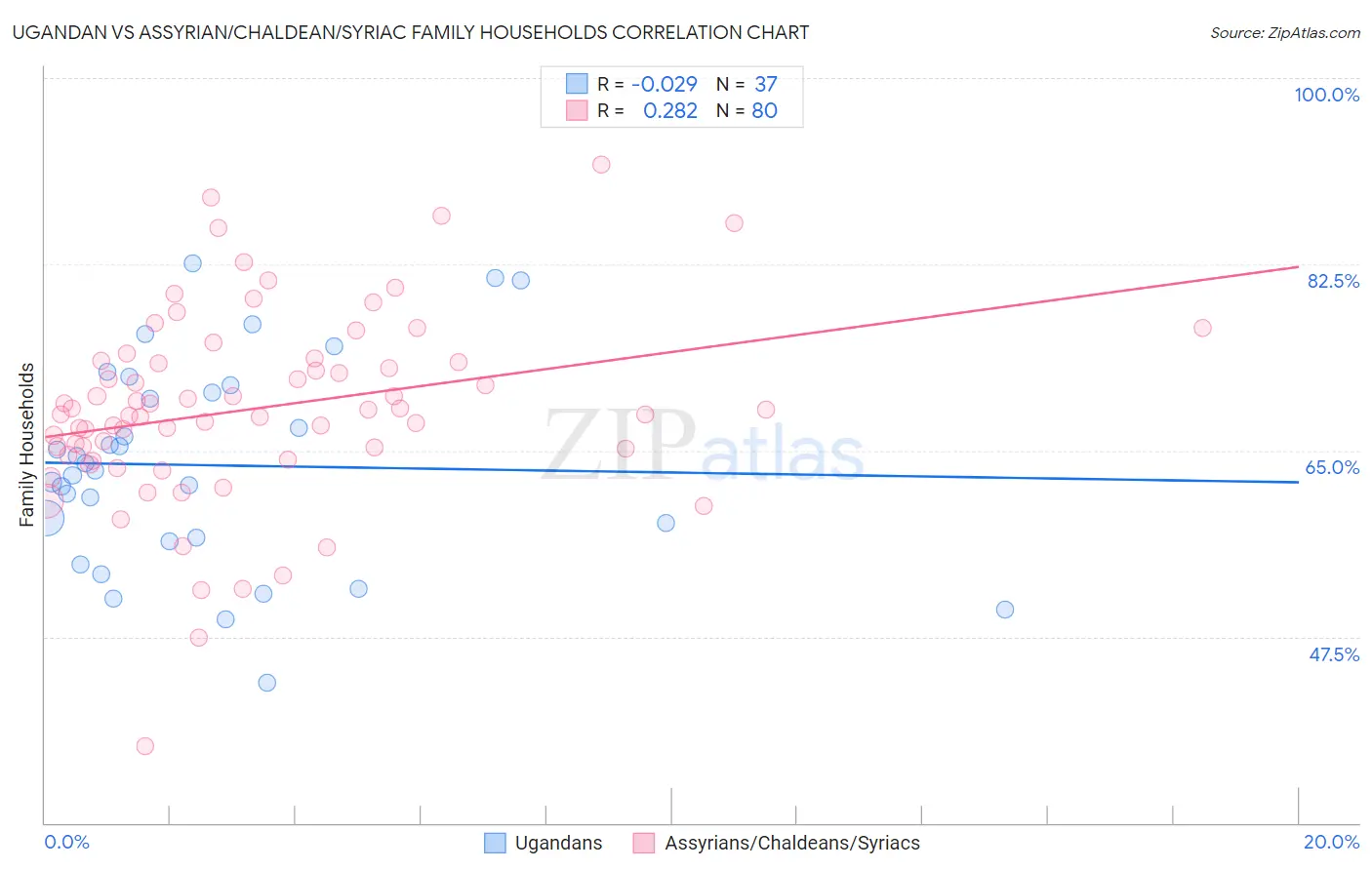 Ugandan vs Assyrian/Chaldean/Syriac Family Households