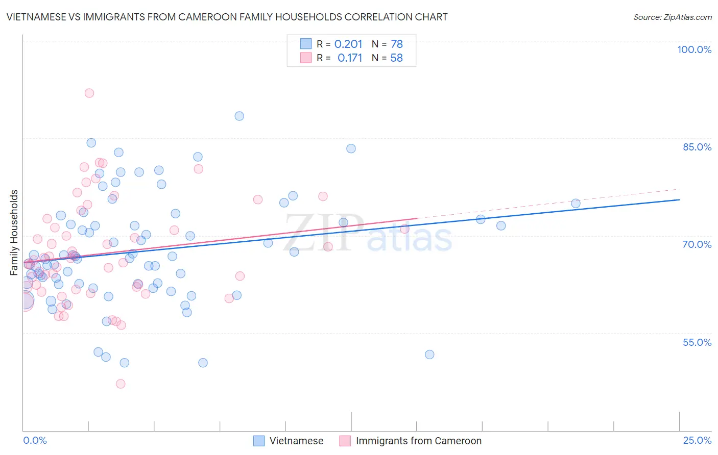 Vietnamese vs Immigrants from Cameroon Family Households