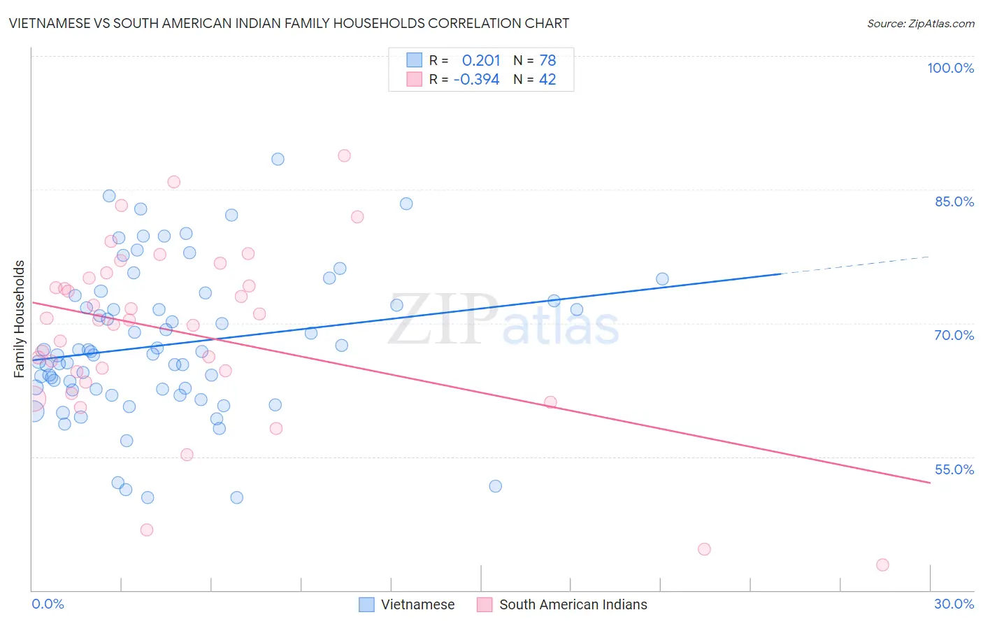 Vietnamese vs South American Indian Family Households