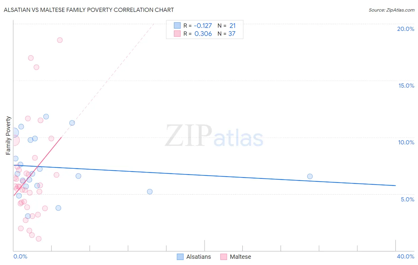 Alsatian vs Maltese Family Poverty