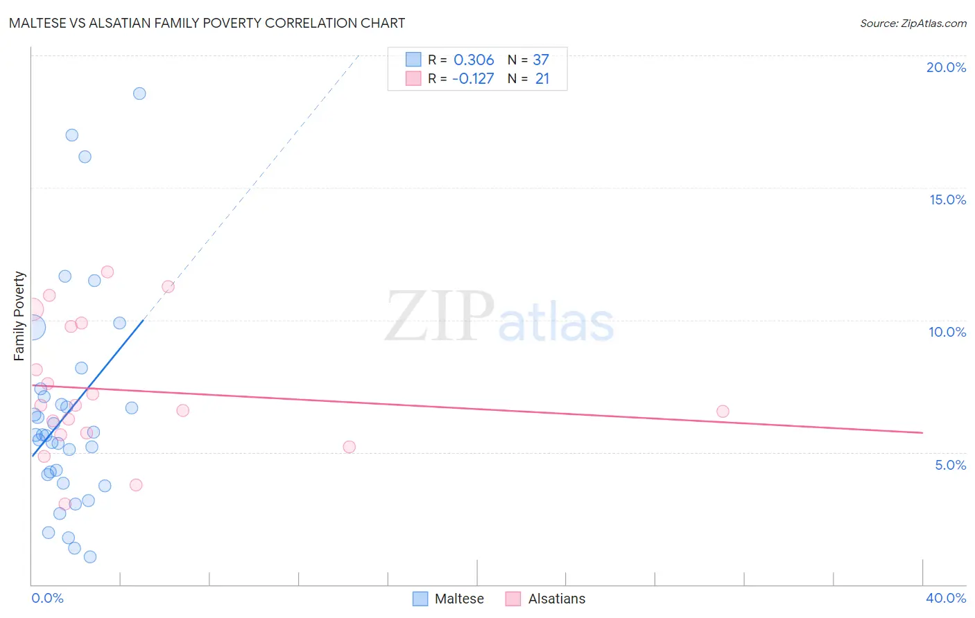Maltese vs Alsatian Family Poverty