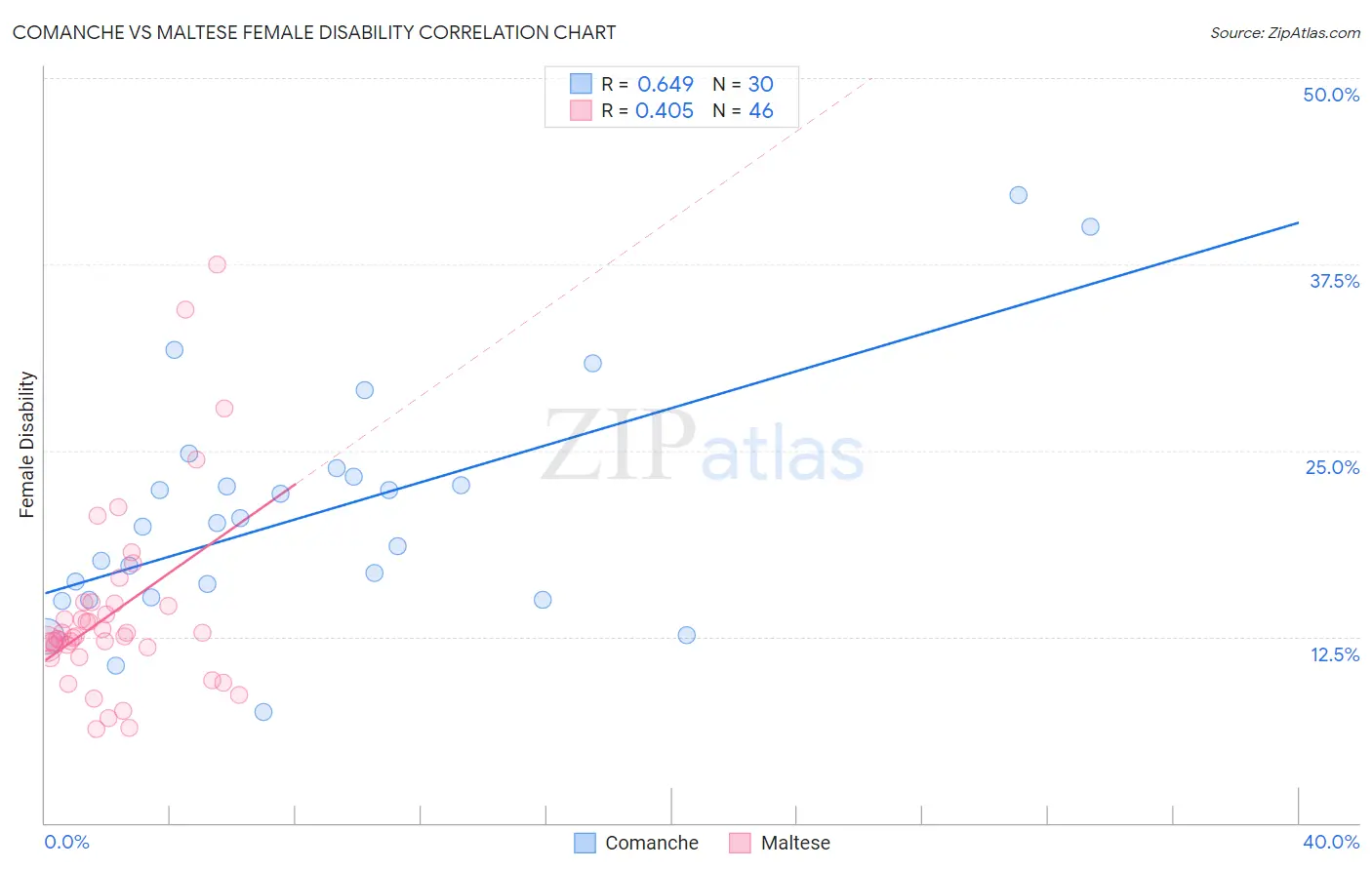 Comanche vs Maltese Female Disability