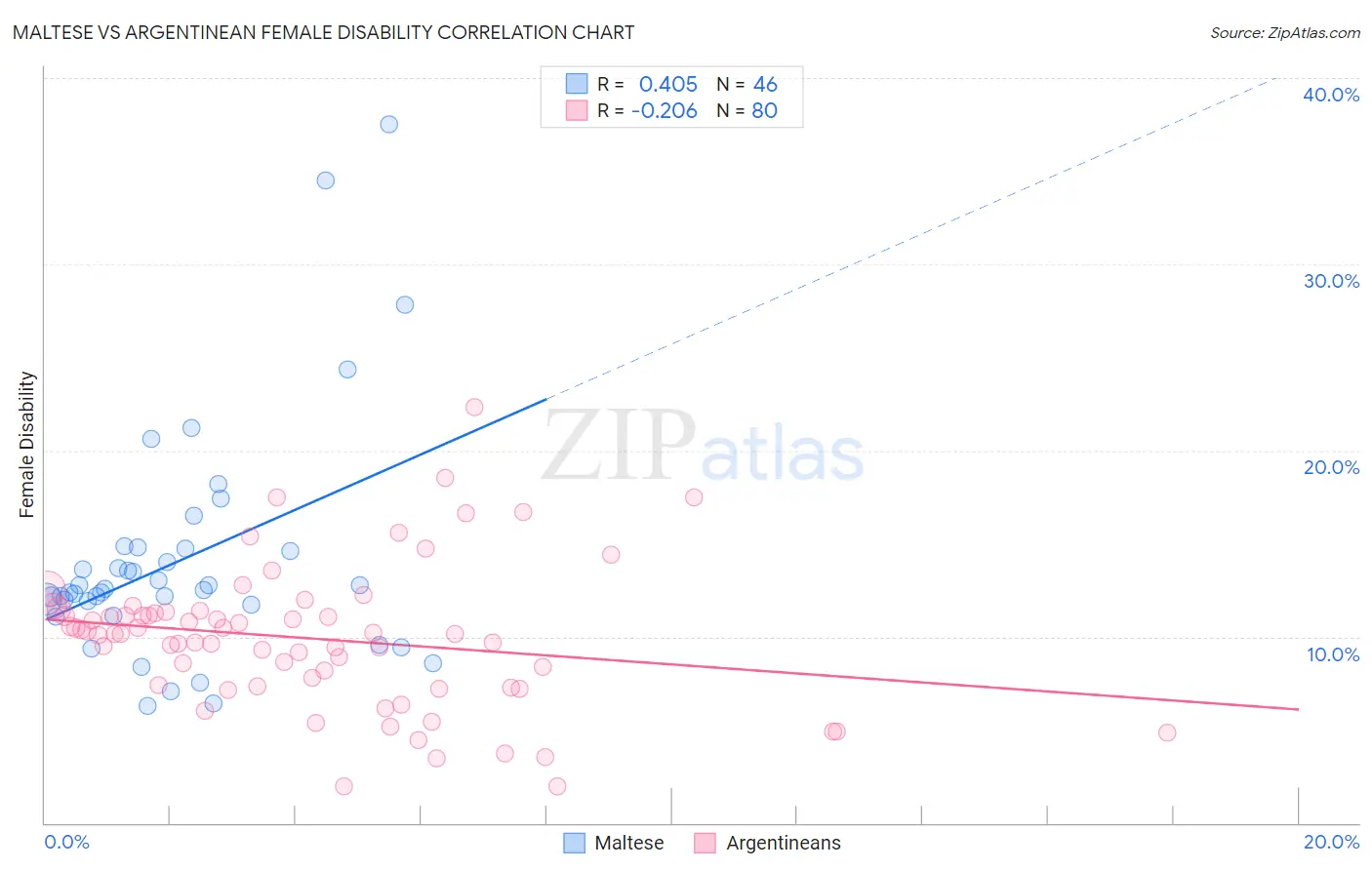 Maltese vs Argentinean Female Disability