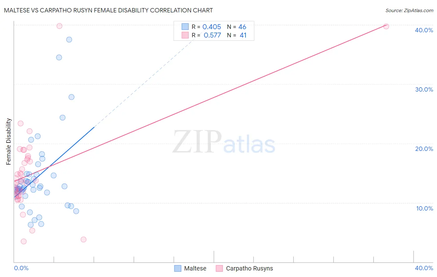 Maltese vs Carpatho Rusyn Female Disability