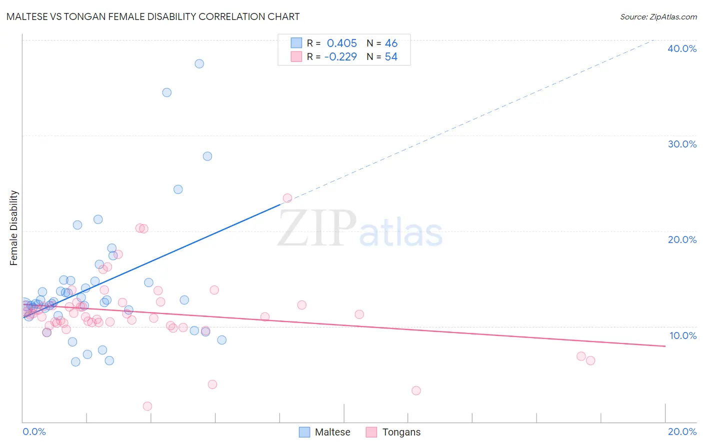 Maltese vs Tongan Female Disability