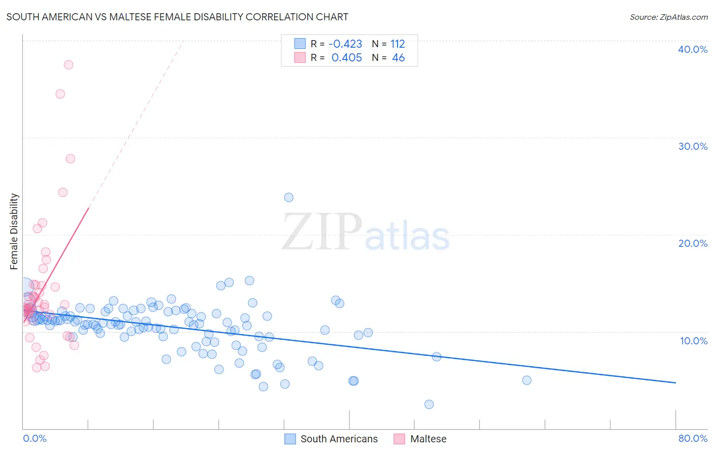 South American vs Maltese Female Disability