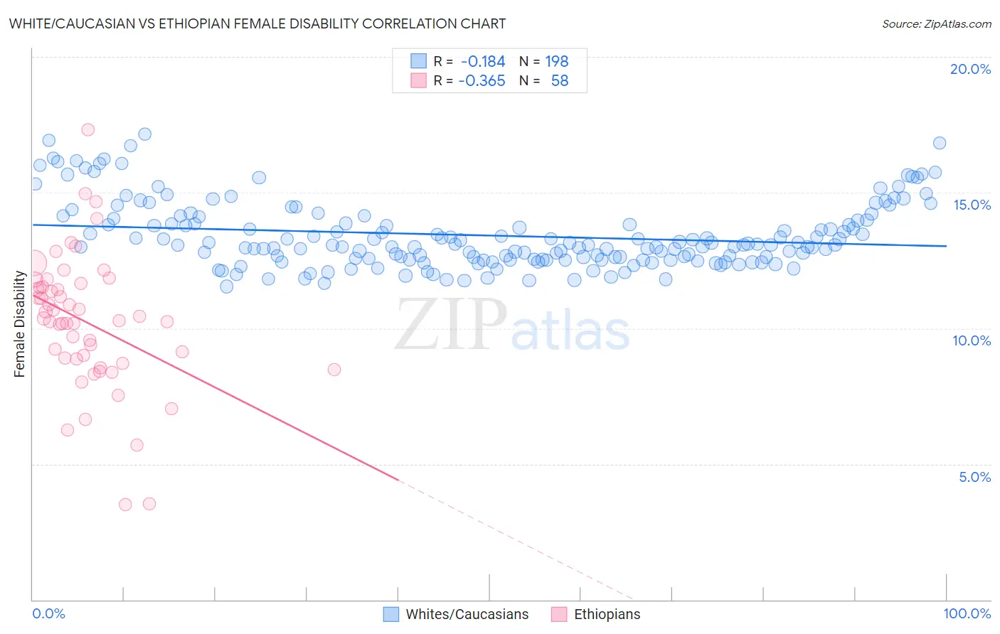 White/Caucasian vs Ethiopian Female Disability