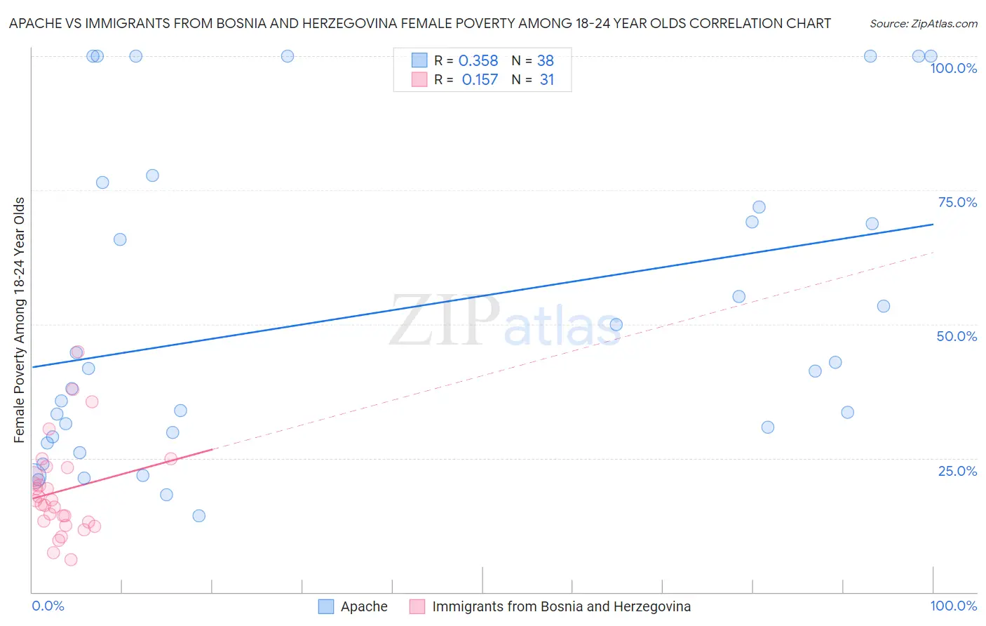 Apache vs Immigrants from Bosnia and Herzegovina Female Poverty Among 18-24 Year Olds