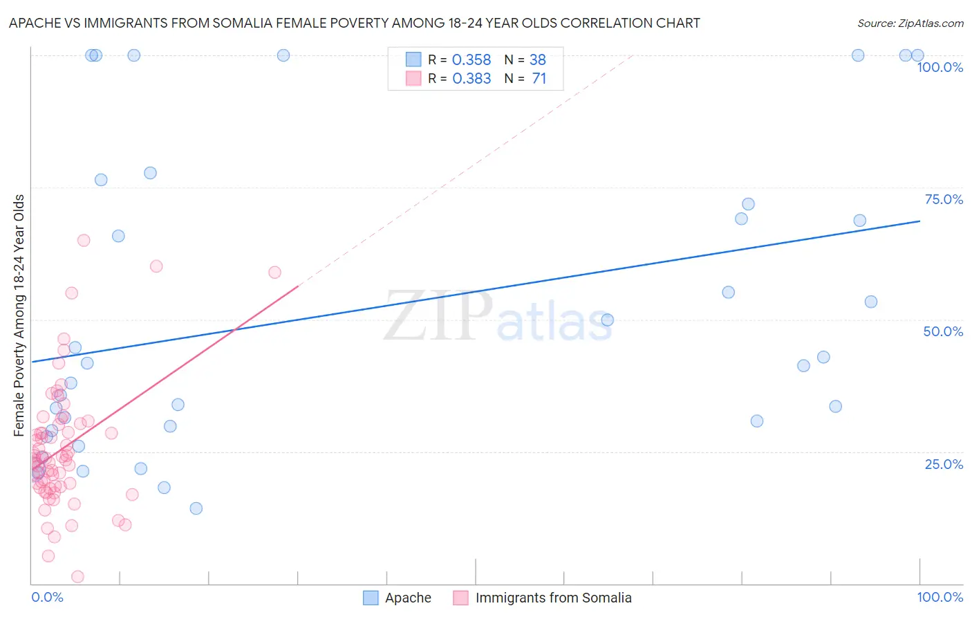 Apache vs Immigrants from Somalia Female Poverty Among 18-24 Year Olds
