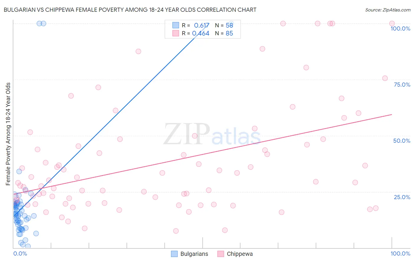 Bulgarian vs Chippewa Female Poverty Among 18-24 Year Olds