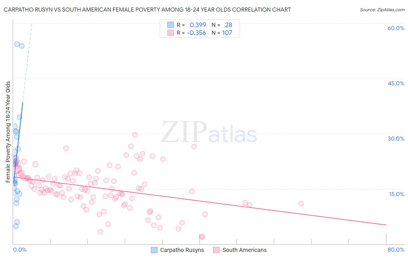 Carpatho Rusyn vs South American Female Poverty Among 18-24 Year Olds