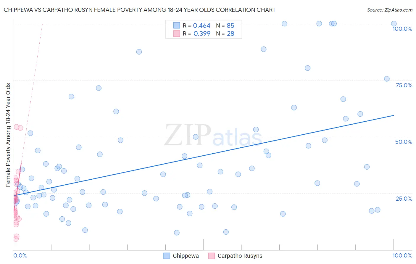 Chippewa vs Carpatho Rusyn Female Poverty Among 18-24 Year Olds