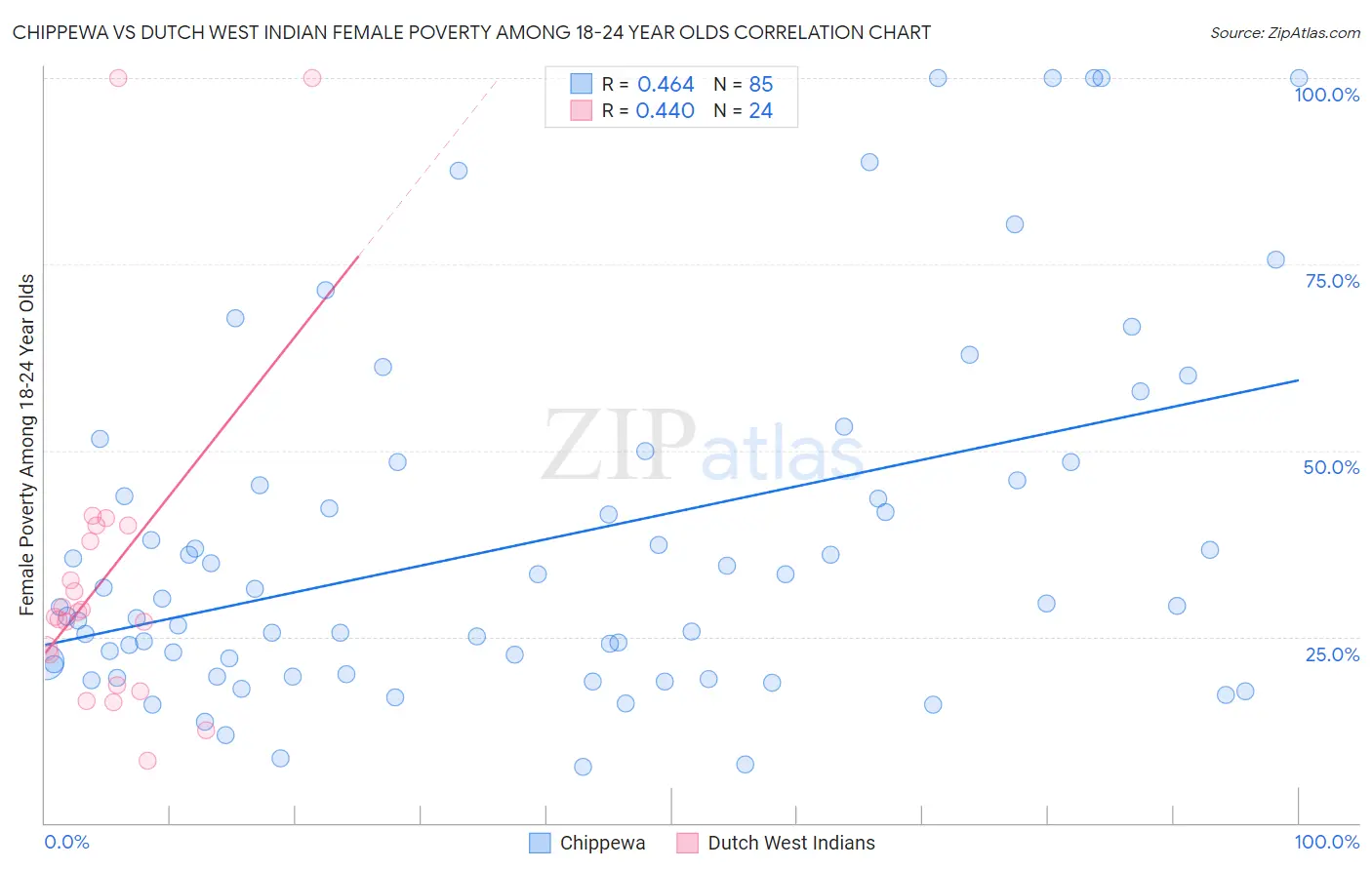 Chippewa vs Dutch West Indian Female Poverty Among 18-24 Year Olds
