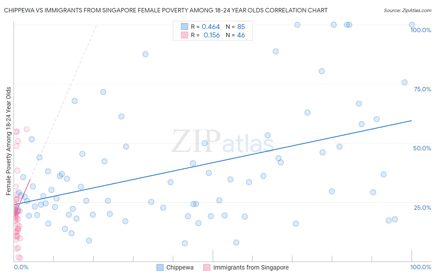 Chippewa vs Immigrants from Singapore Female Poverty Among 18-24 Year Olds