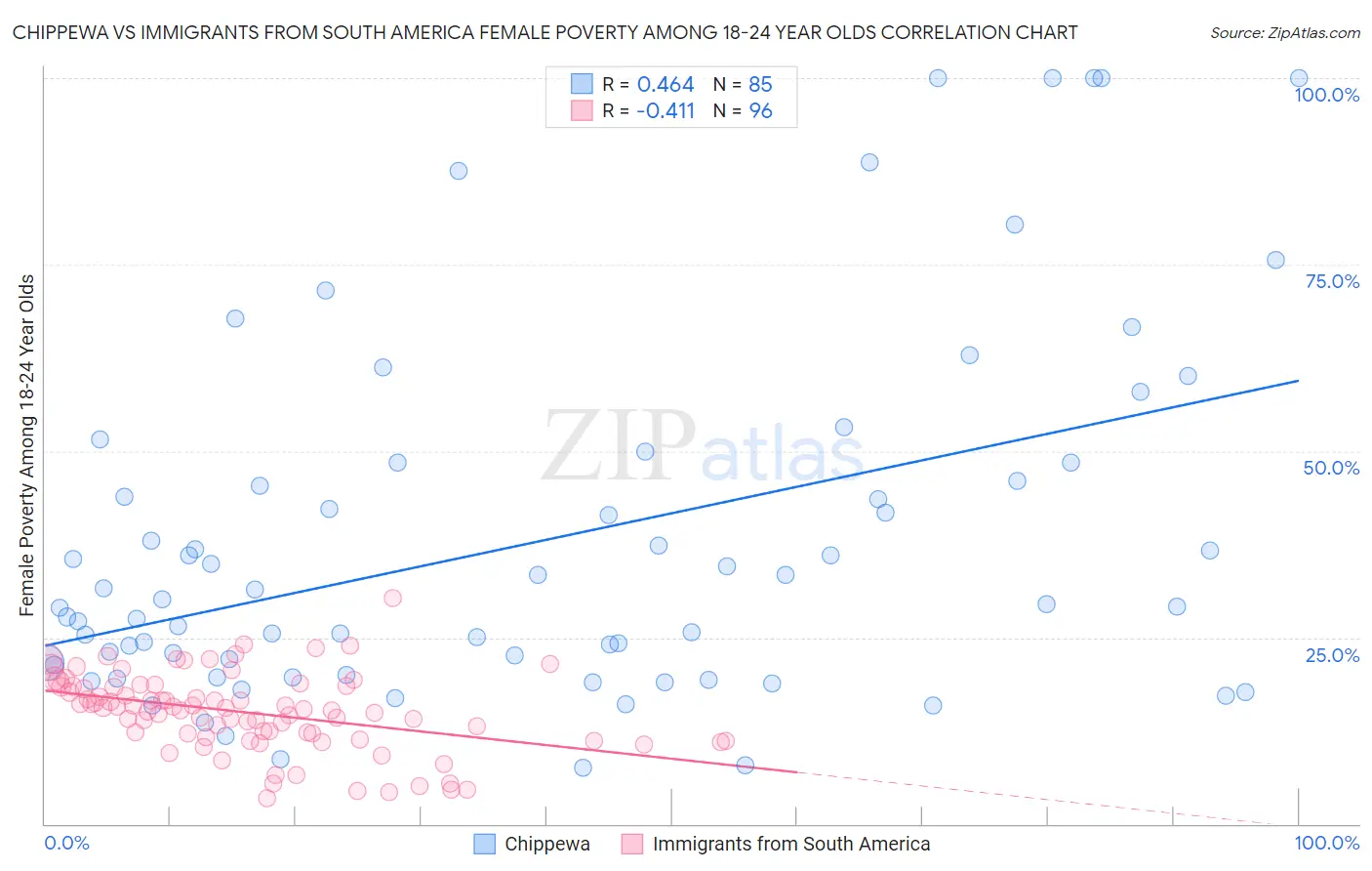 Chippewa vs Immigrants from South America Female Poverty Among 18-24 Year Olds