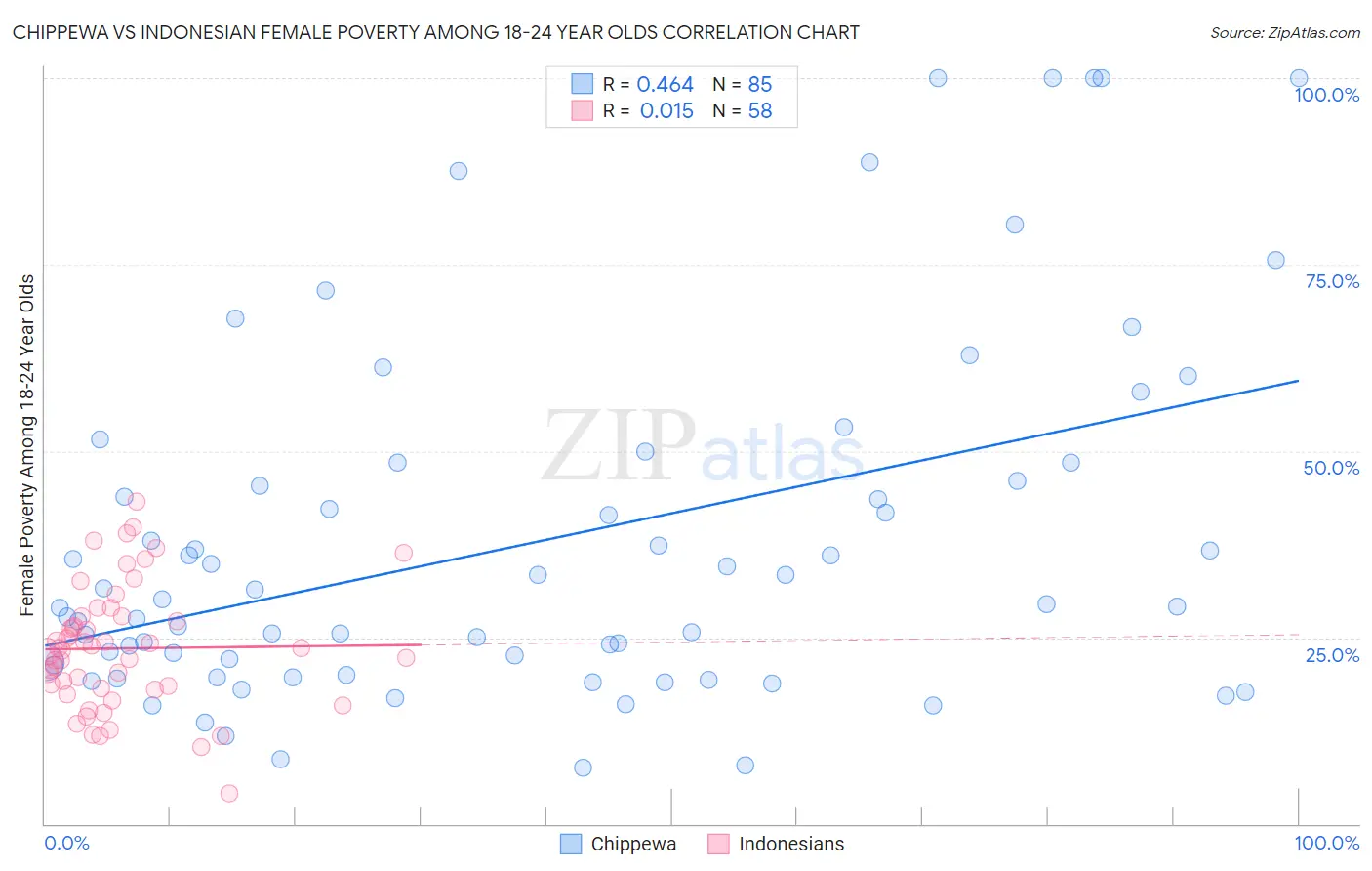 Chippewa vs Indonesian Female Poverty Among 18-24 Year Olds
