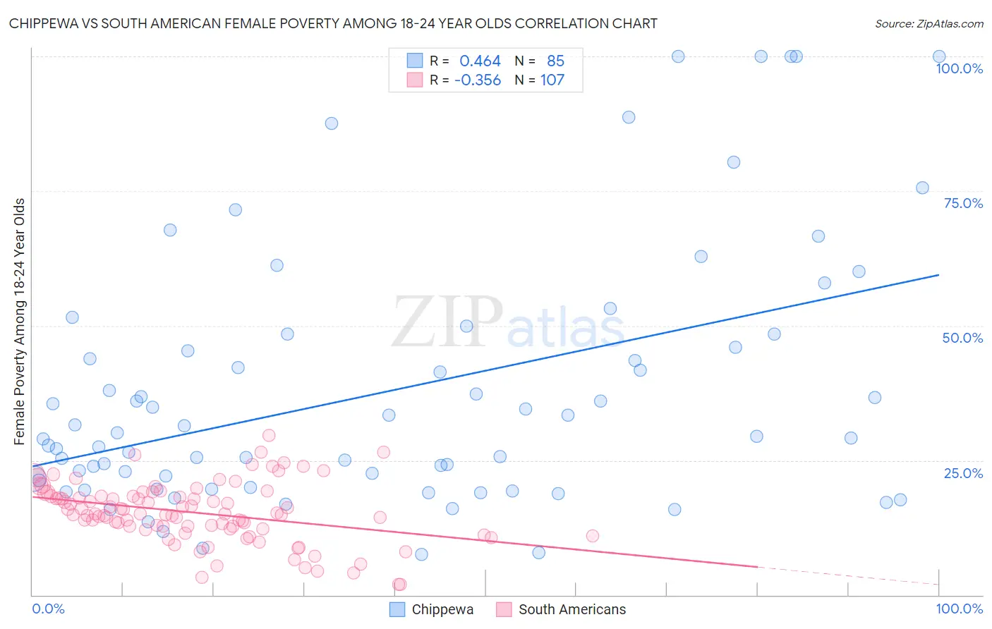 Chippewa vs South American Female Poverty Among 18-24 Year Olds