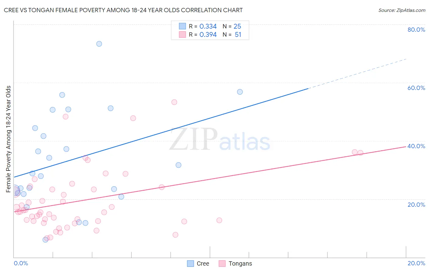 Cree vs Tongan Female Poverty Among 18-24 Year Olds