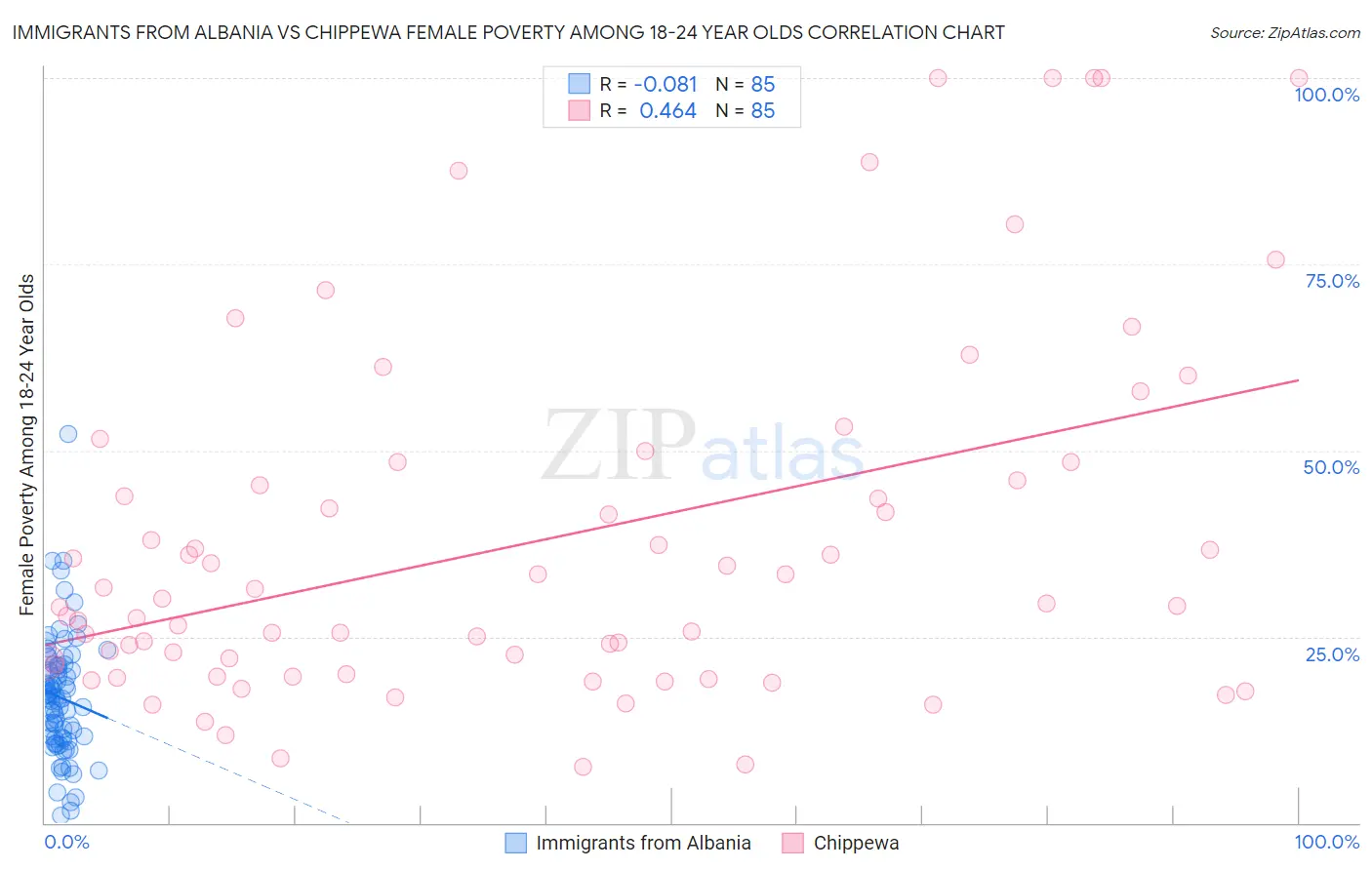 Immigrants from Albania vs Chippewa Female Poverty Among 18-24 Year Olds